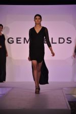 Gemfields Celebrates 2013 Global Launch and Exclusive Collaborations with International Jewellery Designers in Mumbai on 11th April 2013 (21).JPG