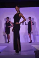 Gemfields Celebrates 2013 Global Launch and Exclusive Collaborations with International Jewellery Designers in Mumbai on 11th April 2013 (24).JPG