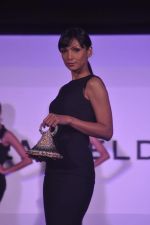 Gemfields Celebrates 2013 Global Launch and Exclusive Collaborations with International Jewellery Designers in Mumbai on 11th April 2013 (25).JPG