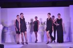 Gemfields Celebrates 2013 Global Launch and Exclusive Collaborations with International Jewellery Designers in Mumbai on 11th April 2013 (26).JPG