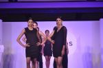Gemfields Celebrates 2013 Global Launch and Exclusive Collaborations with International Jewellery Designers in Mumbai on 11th April 2013 (27).JPG