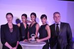 Gemfields Celebrates 2013 Global Launch and Exclusive Collaborations with International Jewellery Designers in Mumbai on 11th April 2013 (37).JPG