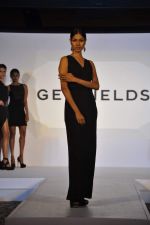 Gemfields Celebrates 2013 Global Launch and Exclusive Collaborations with International Jewellery Designers in Mumbai on 11th April 2013 (6).JPG