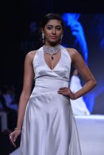Model walk the ramp for Kays Jewels Show at IIJW Delhi day 2 on 13th April 2013 (27).JPG