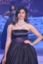 at Zoya introduces exquisite Jewels of the Crown jewellery line in Mumbai on 13th April 2013 (107).JPG