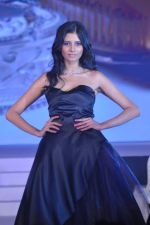 at Zoya introduces exquisite Jewels of the Crown jewellery line in Mumbai on 13th April 2013 (113).JPG