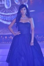at Zoya introduces exquisite Jewels of the Crown jewellery line in Mumbai on 13th April 2013 (65).JPG