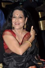 Anjana Mumtaz at  I don_t love you film music launch in Mumbai on 22nd April 2013 (47).JPG