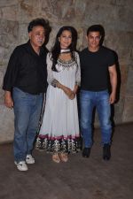 Juhi Chawla, Aamir Khan, Mansoor Khan  at Qayamat Se Qaymat tak screening in Mumbai on 29th April 2013 (71).JPG