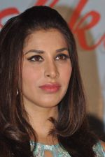 Sophie Choudry at Ishq in Paris promotional activity in Cinemax, Mumbai on 30th April 2013 (101).JPG