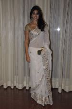 Shriya Saran at NBC Awards in Trident, Mumbai on 1st May 2013 (33).JPG