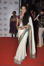 Aakanksha singh at Indian Telly Awards in Mumbai on 4th May 2013 (167).JPG