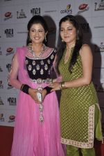 at Indian Telly Awards in Mumbai on 4th May 2013 (105).JPG