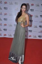 at Indian Telly Awards in Mumbai on 4th May 2013 (15).JPG