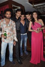at Indian Telly Awards in Mumbai on 4th May 2013 (190).JPG