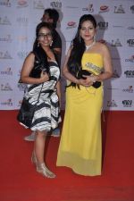 at Indian Telly Awards in Mumbai on 4th May 2013 (3).JPG
