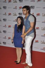 at Indian Telly Awards in Mumbai on 4th May 2013 (88).JPG