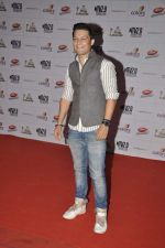 at Indian Telly Awards in Mumbai on 4th May 2013 (89).JPG
