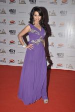 at Indian Telly Awards in Mumbai on 4th May 2013 (92).JPG