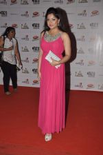 at Indian Telly Awards in Mumbai on 4th May 2013 (95).JPG