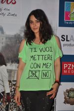 Preity Zinta promotes Ishq in Paris in R city Mall, Mumbai on 12th May 2013 (45).JPG