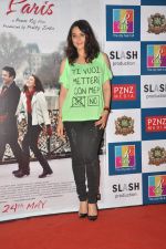 Preity Zinta promotes Ishq in Paris in R city Mall, Mumbai on 12th May 2013 (46).JPG