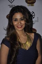 Shaheen Abbas at Pria Kataria_s new collection launch in F Bar, Mumbai on 16th May 2013 (48).JPG