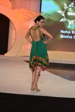 at NIFT Mumbai show by Achala Sachdev in NCPA, Mumbai on 25th May 2013 (171).JPG