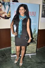 at a special screening of Fakruu in Mumbai on 27th May 2013 (14).JPG