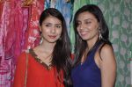 at Atosa_s Sonia Vajifdar_s showcase in Mumbai on 12th June 2013 (30).JPG