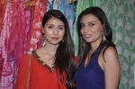 at Atosa_s Sonia Vajifdar_s showcase in Mumbai on 12th June 2013 (31).JPG