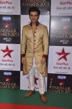  at Star Pariwar Awards in Mumbai on 15th June 2013 (114).JPG