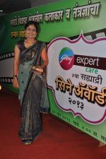 at Godrej Expert Care Sahyadri Cine Awards 2013 in Ravindra Natya Mandir, Mumbai on 18th June 2013 (12).JPG
