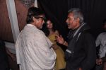 Amitabh Bachchan, Prakash Jha at Trailer launch of Satyagraha in Mumbai on 26th June 2013 (60).JPG