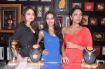 at Pond_s Femina Miss India winners launch 24kt Gold Foil Windows in Mumbai on 6th July 2013 (13).JPG