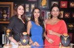 at Pond_s Femina Miss India winners launch 24kt Gold Foil Windows in Mumbai on 6th July 2013 (16).JPG