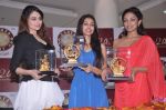 at Pond_s Femina Miss India winners launch 24kt Gold Foil Windows in Mumbai on 6th July 2013 (39).JPG