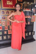 at Pond_s Femina Miss India winners launch 24kt Gold Foil Windows in Mumbai on 6th July 2013 (54).JPG