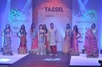 Shefali Zariwala at Tassel Fashion and Lifestyle Awards 2013 in Mumbai on 8th July 2013 (148).JPG