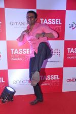 Siddharth Kannan at Tassel Fashion and Lifestyle Awards 2013 in Mumbai on 8th July 2013,3 (5).JPG