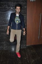 Manish Paul at Mickey Virus film music launch in Cinemax, Mumbai on 18th July 2013 (171).JPG