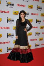 Celebs on the Red Carpet of _60the Idea Filmfare Awards 2012(South),..jpg
