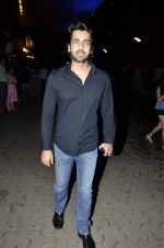 Arjan Bajwa at Issaq premiere in Mumbai on 25th July 2013 (291).JPG