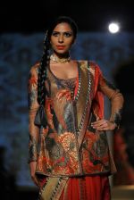 Model walks for designer Ashima Leena in Delhi on 26th July 2013 (11).jpg