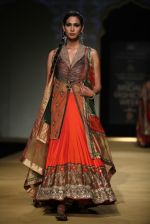 Model walks for designer Ashima Leena in Delhi on 26th July 2013 (12).jpg