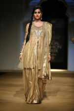 Model walks for designer Ashima Leena in Delhi on 26th July 2013 (3).jpg
