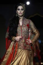 Nargis Fakhri walks for designer Ashima Leena in Delhi on 26th July 2013 (6).jpg