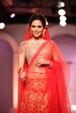  Esha Gupta walks for Designer Adarsh Gill in Delhi on 27th July 2013 (1).jpg