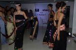 at M F husain paintings and Amanaya art and Sagar Samir International Jewellery Fashion show in Kala Ghoda, Mumbai on 3rd Aug 2013 (45).JPG