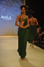 Model walks for Apala by Sumit for IIJW 2013 in  Mumbai on 4th Aug 2013 (43).JPG